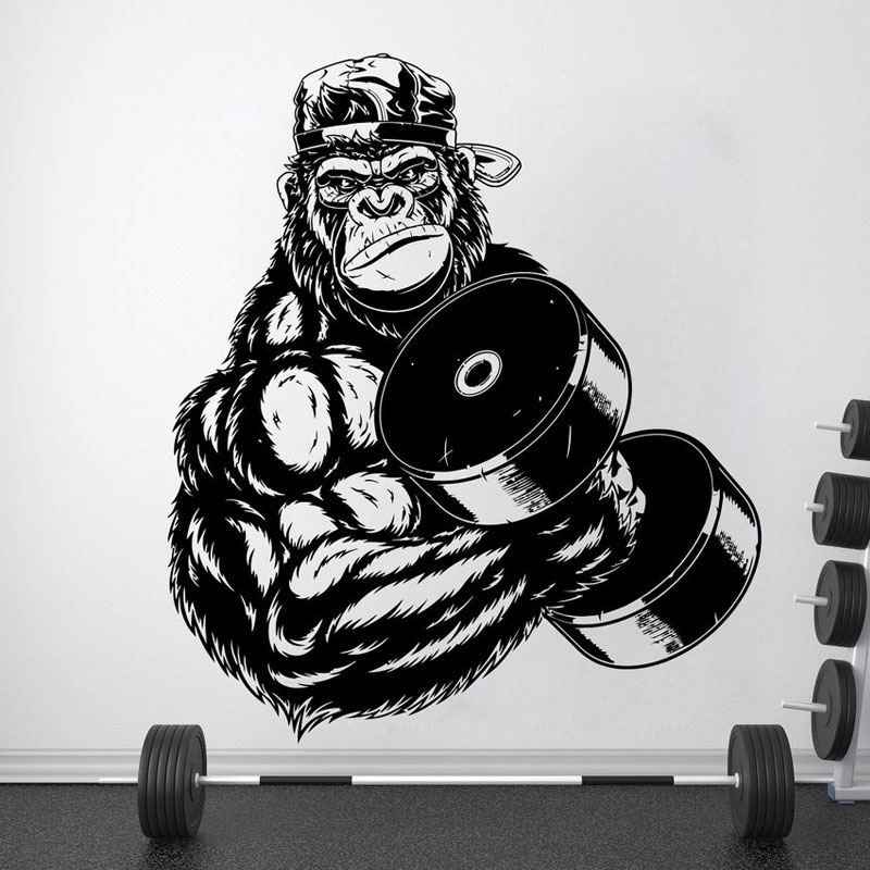 Gorilla Binaragawan Gym Kebuga - Home Gym Interior Design ulasan dan harga