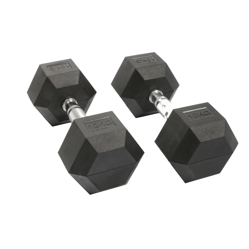 Dumbbell Hexagonal Berlapis Ka - Home Gym No Equipment ulasan dan harga